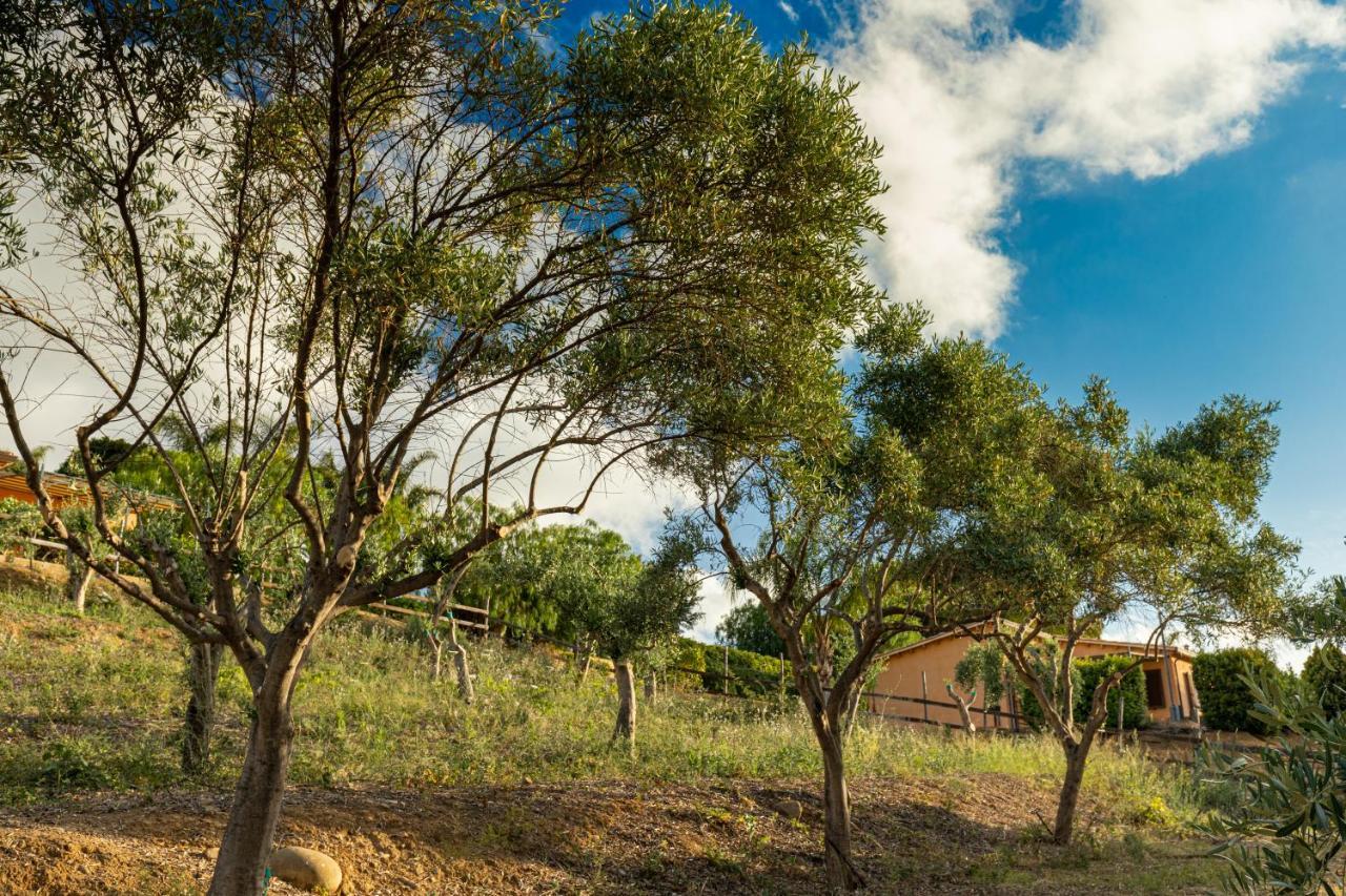 Solemar Sicilia - Le Casette Di Calzata Campofelice di Roccella Kültér fotó